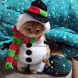 Meet your Posher, Alba